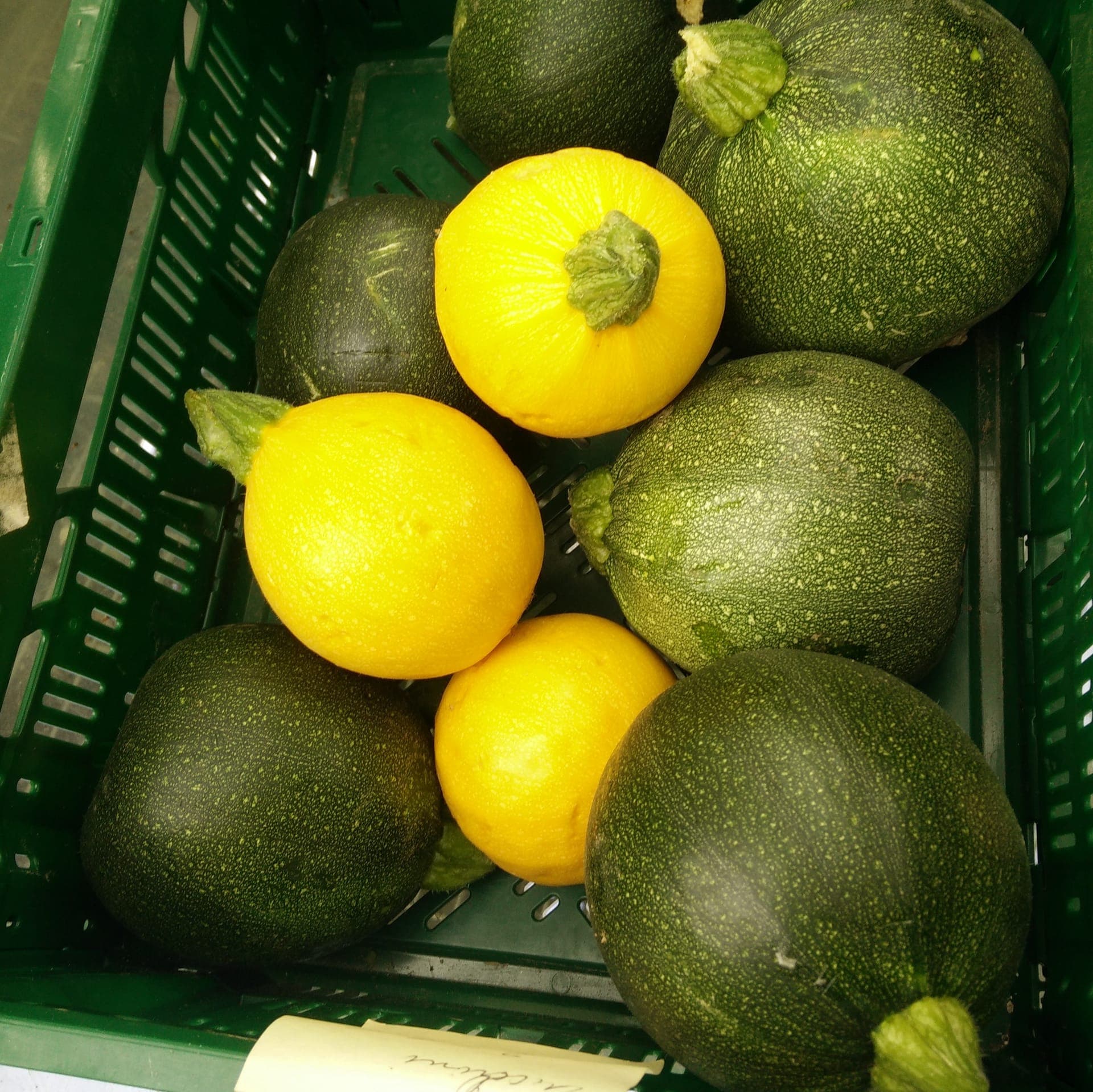 Wie kommt die Gurke auf den Teller?